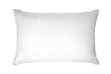 Touch of Down Pillow Queen Found in Holiday Inn Express by IHG Hotels Set of 2, White