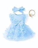 Renotemy Infant Baby Girl Tulle Tutu Dress Blue Butterfly Sleeveless Boho Fairy Baptism Princess Wedding Birthday Party Dresses for Baby Girls with Flower Headband 6-12 Months