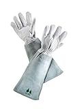 Leather Gardening Gloves By Fir Tree. Premium Goatskin Gloves with Cowhide Suede Gauntlet Sleeves. Perfect Rose Garden Gloves. (XS-6, Grey). ALL GLOVES ARE 1 PACKS ONLY.
