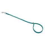 Jelly Pet Grooming Loop Slip Style (1/2" x 30", Teal) | Made in The USA