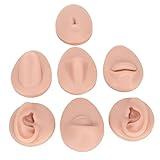 Body Piercing Practice Model, Simulation Silicone Ear Eye Nose Mouth Tongue and Belly Model Piercing Practice Model for Novice Piercer Practice Show Piercing Jewelry (Middle Skin