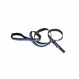 Coastal Pet K9 Explorer Reflective Dog Leash with Scissor Snap - Durable Nylon Leash - Leashes for Dogs & Puppies - Pet Supplies for Dogs - Sapphire, 5/8" x 6'