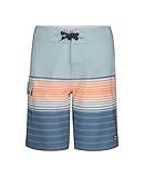 Billabong Boys' Performance Stretch Pro Boardshorts with UPF 50+ Sun Protection, Dusty Blue Stripe