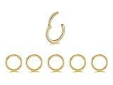 5Pcs 16G 18G Surgical Steel Nose Rings Hoop Tragus Septum Cartilage Hoop Earrings For Women Men Body Piercing Jewelry Kit Bar Length 6mm/8mm/10mm/12mm/14mm (5Pcs -16G - Gold - 8mm)