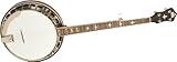 Recording King RK-R35-BR Madison Tone Ring Banjo, Maple Resonator