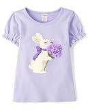 Gymboree,Girls,and Toddler Embroidered Graphic Short Sleeve T-Shirts,Purple Bunny,5T