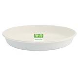 Responsible Products 20 oz Oval Disposable Bowls I Tree-Less™ Compostable Molded Fiber Burrito Bowls I Extra Strength I NO-PFAS I Classic White (300 Count)