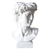 fazhongfa Greek Statue of David Bust Resin Sculpture for Roman Bookshelf Tabletop Office Home Decor 6.5 Inch David Head Artist Figurine Succulent Planters Dried Flowers Vase Makeup Brush Pen Holders