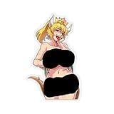 Anime & Manga Action & Adventure Fantasy Science Fiction Video Game Stickers Vinyl Stickers E353 (2x2, transaprent)
