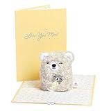 Lovepop Plushpop Soft Animal Pop-Up Card for Her and Him - 3D Bear Everyday Greeting Card for Boys, Girls, Men, Women - Love You Most - 6" x 8" Card - Gray