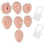 Chazcool Body Piercing Model, Piercing Practice Kit, Silicone Body Parts for Jewelry Display Teaching Tool Novice Piercer, Silicone Body Piercing Practice Model for Piercers