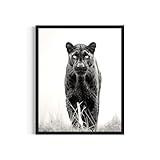 Panther Art Prints Posters, Black and White Photography Wall Art, Wildlife Safrai Jungle Nature Inspired Photos, Exotic Animal Wall Decor. (Panther, 18x24 inches (Unframed))
