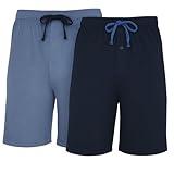 Hanes Mens Jersey Lounge Drawstring Shorts with Logo Waistband, Champbre Blue Heather/Blue Depth, Pack 2 40129-Large