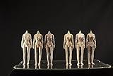 1/12 Scale Female Body,6inch Female Joint Flexible Middle Large Bust Soldier Action Figure Body Collection (Mid Bust-Suntan Skin)