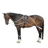 Advanced European Training System | Advanced Training Tool | Enhances Horse Carriage and Headset | Encourages Forward Movement | Strengthens Key Muscles | Not for Beginners