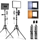NEEWER BASICS 2 Pack LED Video Light Panel Lighting Kit with 2 59'' Stands & 2 Phone Holders, 850lx/0.5m Bi Color 2700K-6500K Dimmable Studio Light for Photography Filming Recording Live Stream, BP300