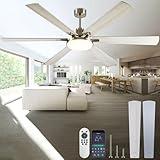 DIAMONDFORGE 72 Inch Ceiling Fans with Lights and Remote Control,Indoor/Outdoor Flush Mount Low Profile Commercial Reversible Dimmable Ceiling Fans for Living Room Patio Industrial Shop,White Silver