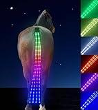 LED Tail Light, 7 Color in 1 Light Up Horse Tack, USB Rechargeable Equipment - Added Visibility & Safety for Night Riding