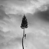A Black Mile To The Surface[2 LP]