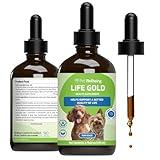 Life Gold for Dogs - Supports Detoxification, Immune System Health, Antioxidants - Vet-Formulated Herbal Supplement – 4 oz (118 ml)