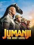 Jumanji: The Next Level (4K UHD)