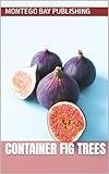 Container Fig Trees (Sweet Fruit)