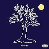 Drama (feat. Drake) [Explicit]