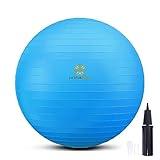 PRIMASOLE Exercise Ball for Balance Stability Fitness Workout Yoga Pilates at Home Office & Gym 45cm Blue