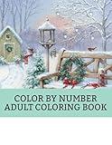 Color By Number Adult Coloring Book: Fun & Fun Festive Winter Fun Holiday Christmas Winter Season Coloring Book (Color By Number Coloring Book for Adults)