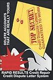 RAPID RESULTS Credit Repair Credit Dispute Letter System: Credit Rating and Repair Book