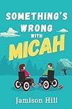 Something’s Wrong with Micah