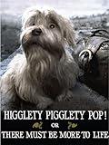 Higglety Pigglety Pop! or There Must Be More to Life