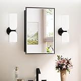 TokeShimi 17x25 Recessed Medicine Cabinet with Mirror Surface Mounted, Metal Beveled Mirror with Storage for Bathroom Vanity, Aluminum Black Medicine Cabinet Mirrored
