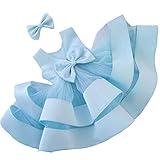 CMMCHAAH Baby Princess Girls Bowknot Dresses Toddler Ruffles Kids New Year Easter Backless Dress Tutu Frocks (Blue,60)