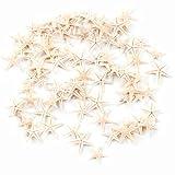 Super Z Outlet Tiny Miniature Fairy Garden Beach Critter Starfish Marine Life Collection for Arts & Crafts Projects, Decorations, Party Favors, Invitations - 90 Pieces