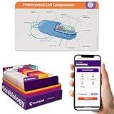 Microbiology Flash Cards – No Fluff – Nursing School Essentials for Students – 2025-2026 TEAS HESI A2 Review Flash Cards (400 Cards)