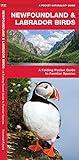 Newfoundland & Labrador Birds: A Folding Pocket Guide to Familiar Species (Nature Observation North America)