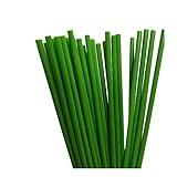 Green Smart Products Compostable/Biodegradable Made in USA Case of 4000 Pcs Jumbo 7.75"x0.24" Green Straws