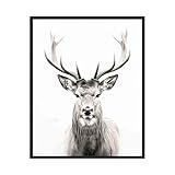 Deer Art Prints Posters, Black and White Animal Photography Wall Art, Wildlife Nature Photo, Exotic Animal Wall for Bathroom Bedroom Decor 71 (Deer, 16 x 20 inches, Black Frame)