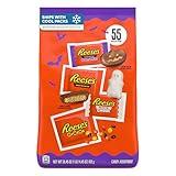 REESE'S Assorted Flavored Snack Size Peanut Butter, Halloween Candy Bag, 30.45 oz (55 Pieces)