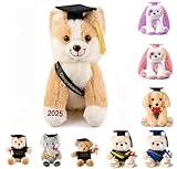 Oukiwi 8 Inch Graduation Plush Stuffed Animal Puppy Dog Class of 2025