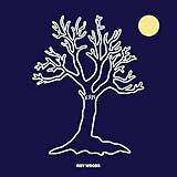 Drama (feat. Drake) [Explicit]