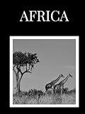 AFRICA - World Collection Decorative Books - Perfect for Photo Album, Coffee Table & Bookshelf Display: 8,25'' x 11'' (large size); hardcover; 500 pages