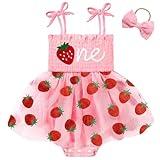 HONGTEYA Baby Girl 1st Birthday Outfit Girl First Birthday Clothes One Year Old Gifts Lace Romper Tulle Summer Newborn Dress Pink