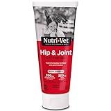 Nutri-Vet Cat Hip & Joint Paw Gel, Cat Joint Supplement, Glucosamine, MSM, and Chondroitin, Hip Support for Felines, Tasty & Easy to Give, Salmon Flavored, 3 oz Tube