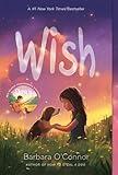Wish