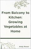 From Balcony to Kitchen: Growing Vegetables at Home