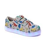 FabKids Boys Light Up Dinosaur Sneakers Glowing Athletic Sport Shoes Kids Cute Dino Tennis Footwear Toddler Size T5