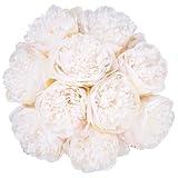 U'Artlines 2 Bouquet 10 Heads Artificial Peony Silk Flower Leaf Home Office Wedding Party Festival Bar Decor (Cream White)