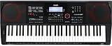 Casio CT-X3000 – 61-Key Portable Arranger Keyboard | 800 Tones, 235 Rhythms, DSP Effects, 17-Track Recorder, USB MIDI, 12W Speakers, Phrase Pads, Aux In | Performance Power Anywhere